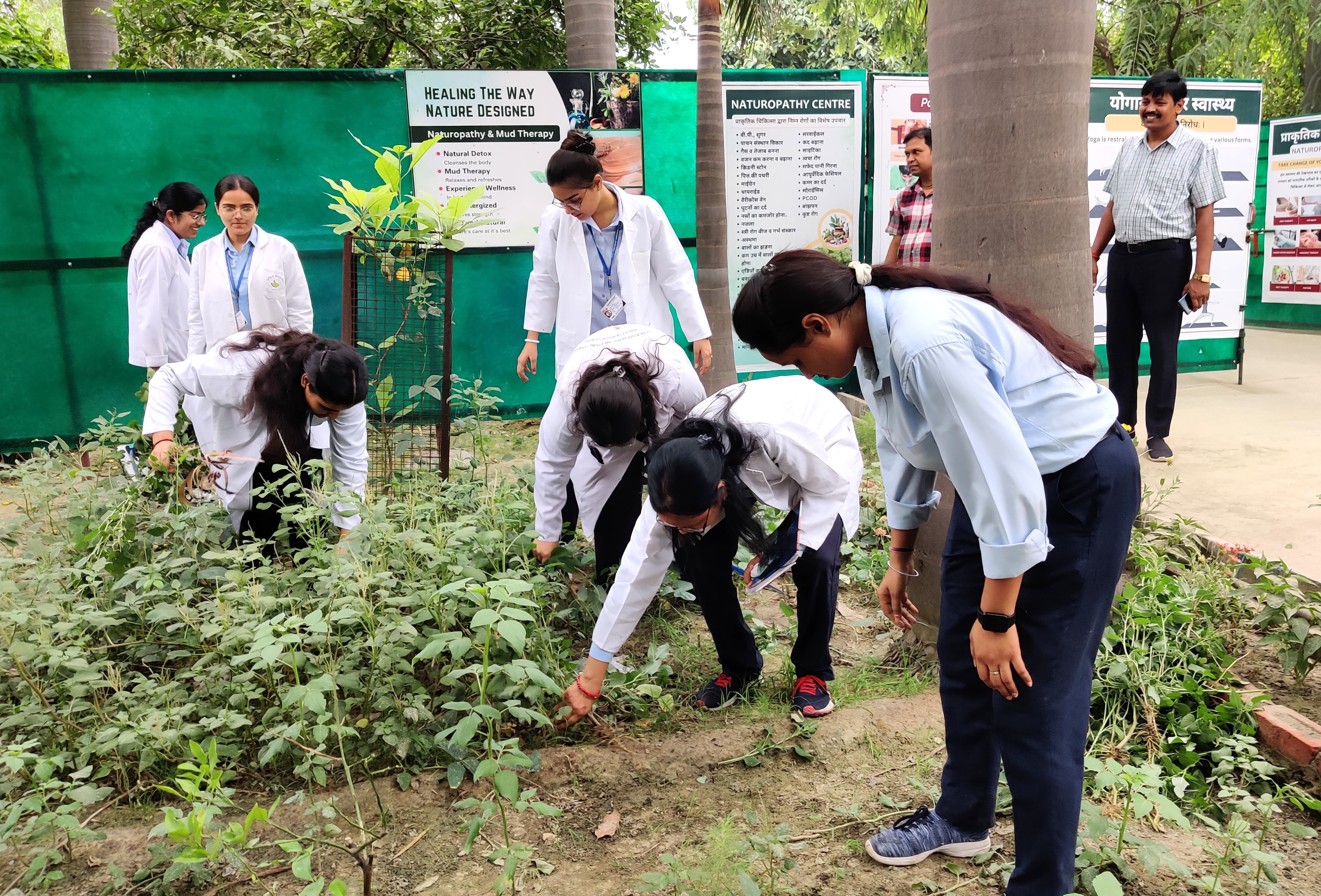 International Day of Yoga Week Celebration 2025 - Image 1